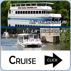 Cruise